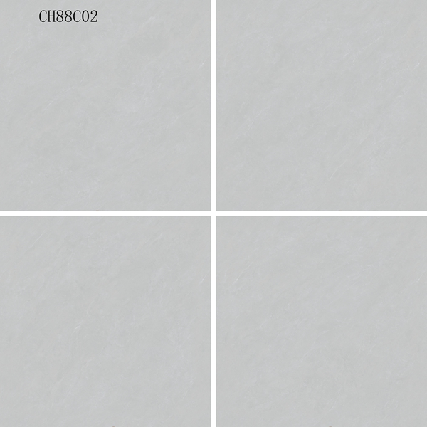 CH88C02