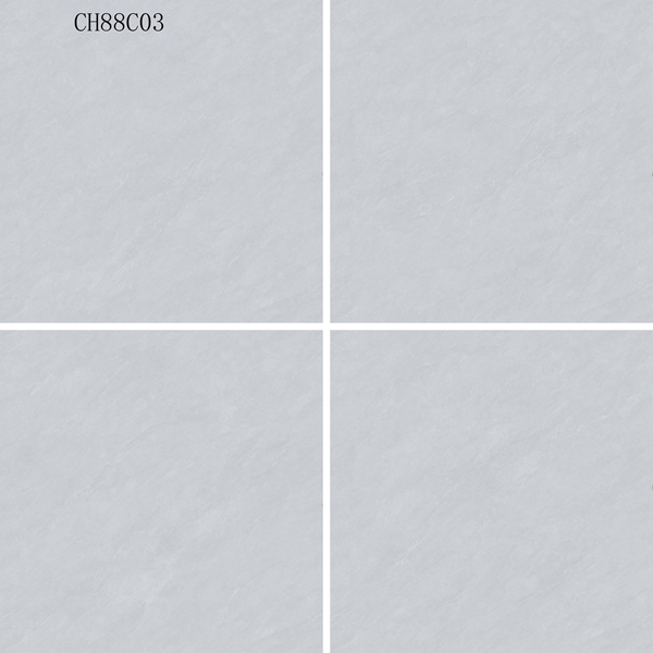 CH88C03