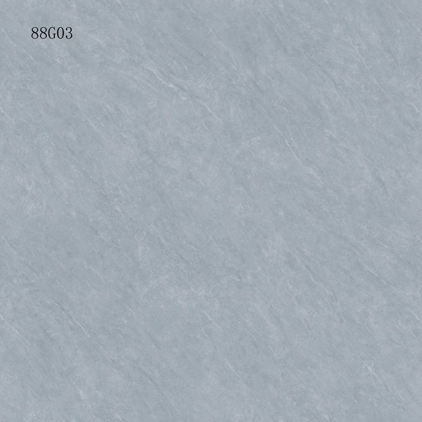 88G03