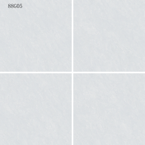 88G05