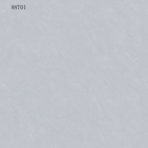 88T01