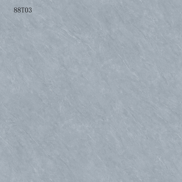 88T03