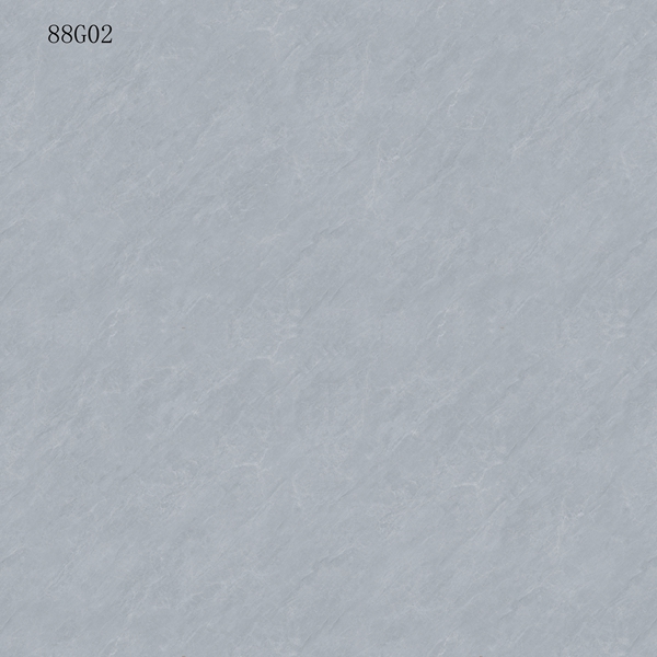 88G02